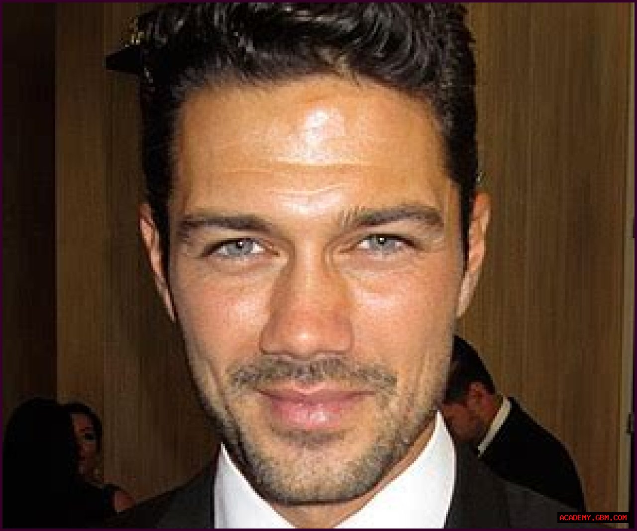 Charming Performances: The Allure Of Hallmark Movie Stars Male