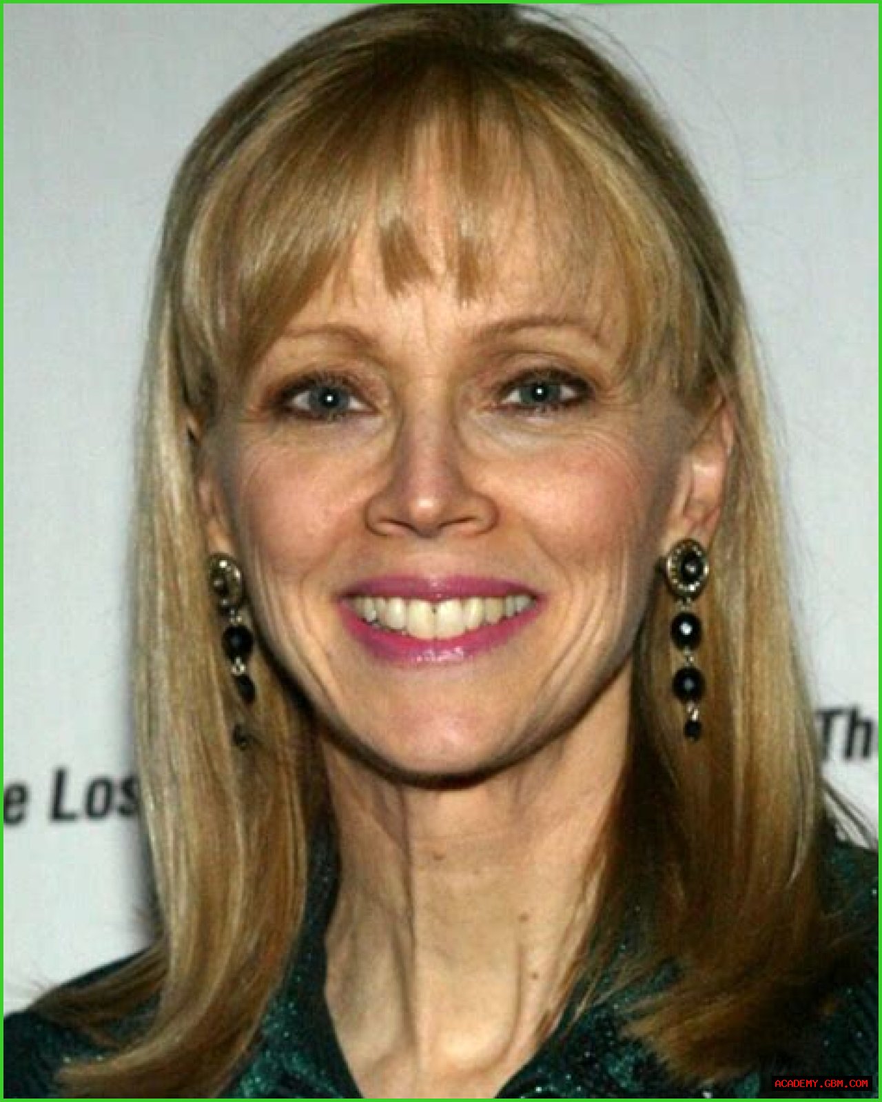 Shelley Long: A Journey Through Her Life And Career